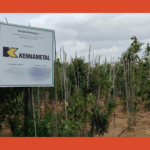 Urban Afforestation Program using Miyawaki Plantation Technique