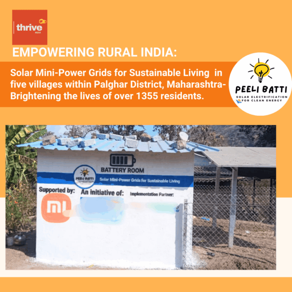 Solar Electrification, the Peeli Batti Project